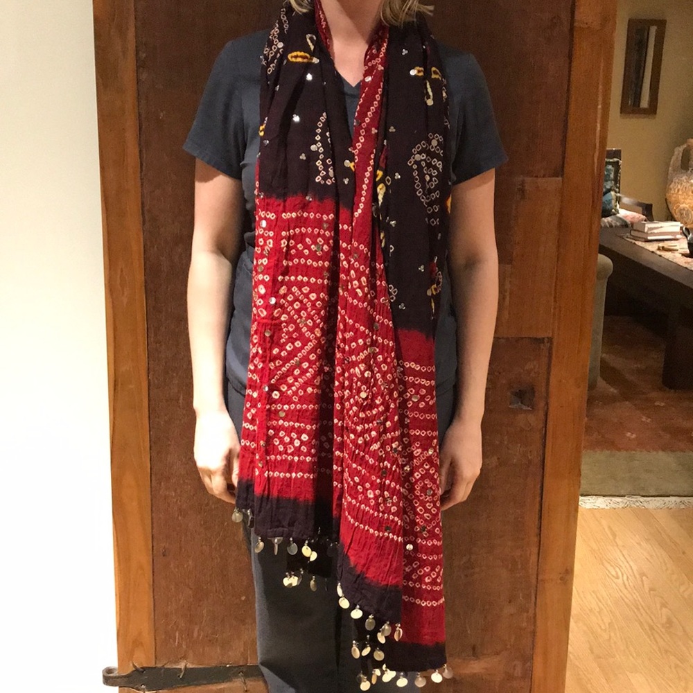 Printed Sari Scarf with Mirror Tassels